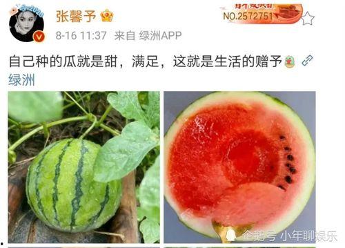 什么叫娱乐圈吃瓜,揭秘明星幕后故事与八卦传闻