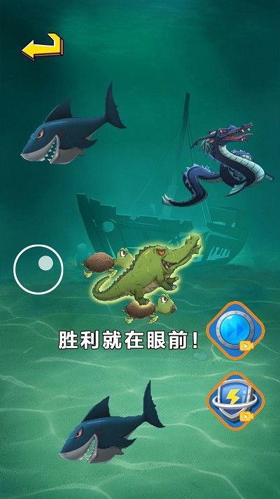 大鱼吃瓜娱乐,揭秘娱乐圈幕后故事