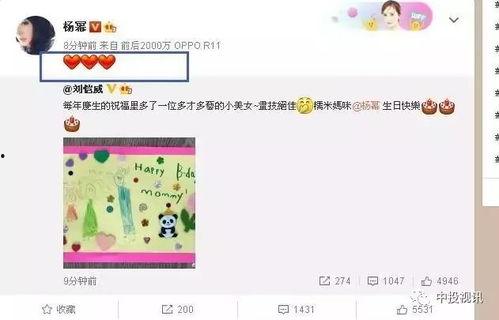 娱乐半吃瓜现场,揭秘明星幕后故事