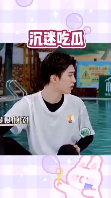 娱乐圈吃瓜搞笑综艺推荐,娱乐圈搞笑综艺大盘点