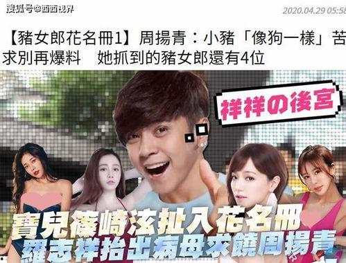 娱乐吃瓜菌感动,见证娱乐圈感动瞬间