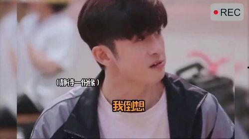 吃瓜吃到自己身上了娱乐圈,娱乐圈明星自食其果的尴尬瞬间