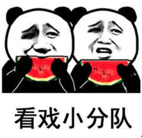 娱乐吃瓜酱搞笑图片,笑料横生！娱乐吃瓜酱搞笑图片大盘点