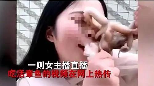 娱乐吃瓜酱的作品真诚才是必杀计