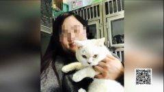 娱乐吃瓜酱小猫坐公交车