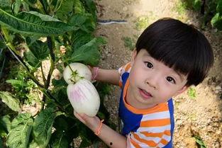 小小红娱乐吃瓜说,揭秘娱乐圈最新热点事件
