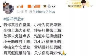 小说吃瓜娱乐,揭秘娱乐圈背后的秘密与真相