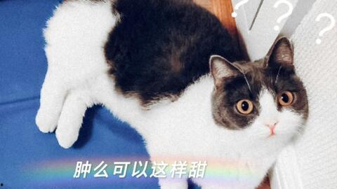 娱乐吃瓜君爆料遛鸟